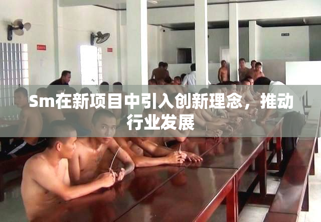 Sm在新项目中引入创新理念，推动行业发展