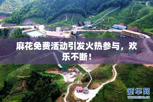 麻花免费活动引发火热参与，欢乐不断！