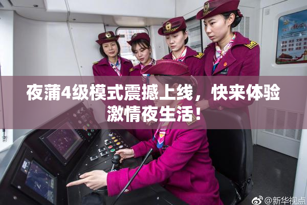夜蒲4级模式震撼上线，快来体验激情夜生活！