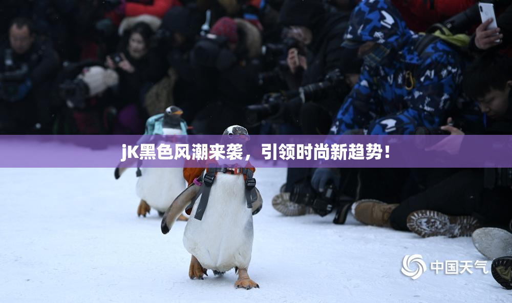 jK黑色风潮来袭，引领时尚新趋势！