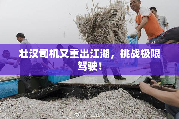 壮汉司机又重出江湖，挑战极限驾驶！