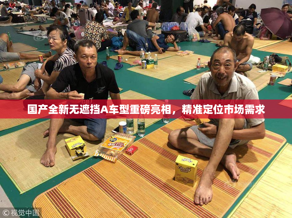 国产全新无遮挡A车型重磅亮相，精准定位市场需求