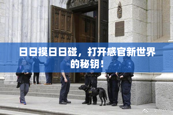 日日摸日日碰，打开感官新世界的秘钥！