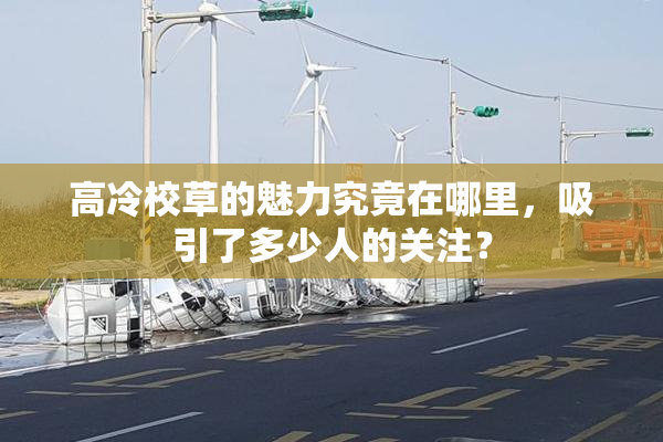 高冷校草的魅力究竟在哪里，吸引了多少人的关注？