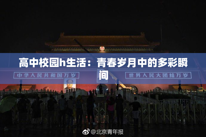 高中校园h生活：青春岁月中的多彩瞬间
