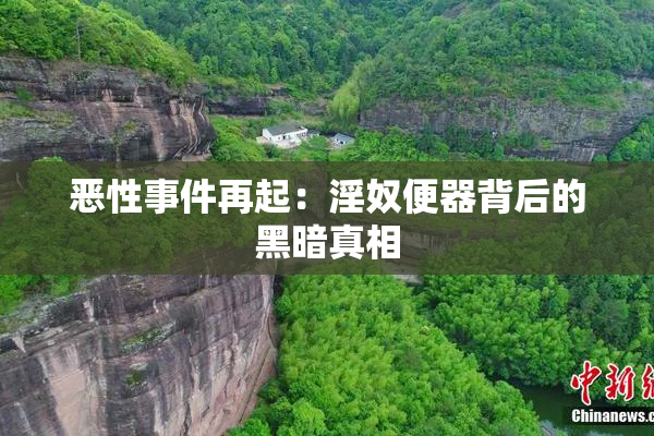 恶性事件再起：淫奴便器背后的黑暗真相
