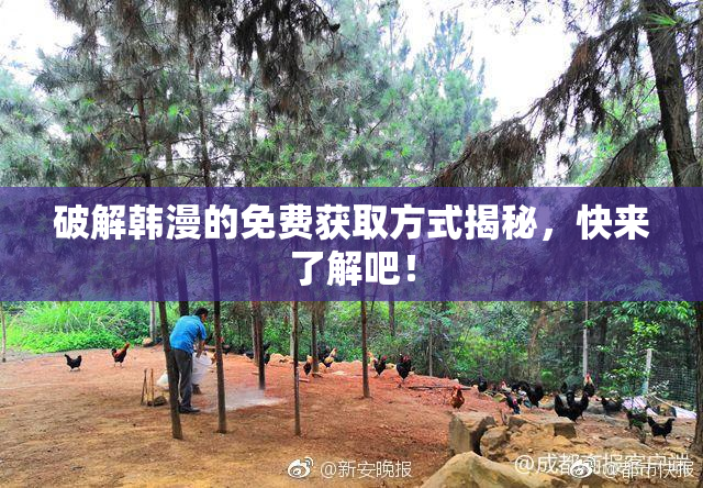 破解韩漫的免费获取方式揭秘，快来了解吧！