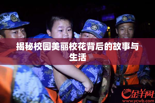 揭秘校园美丽校花背后的故事与生活
