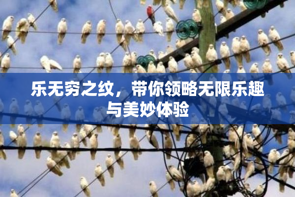 乐无穷之纹，带你领略无限乐趣与美妙体验