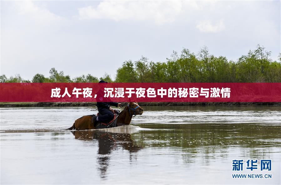 成人午夜，沉浸于夜色中的秘密与激情
