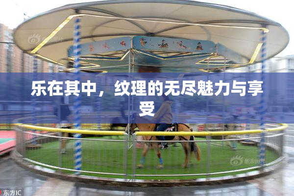 乐在其中，纹理的无尽魅力与享受