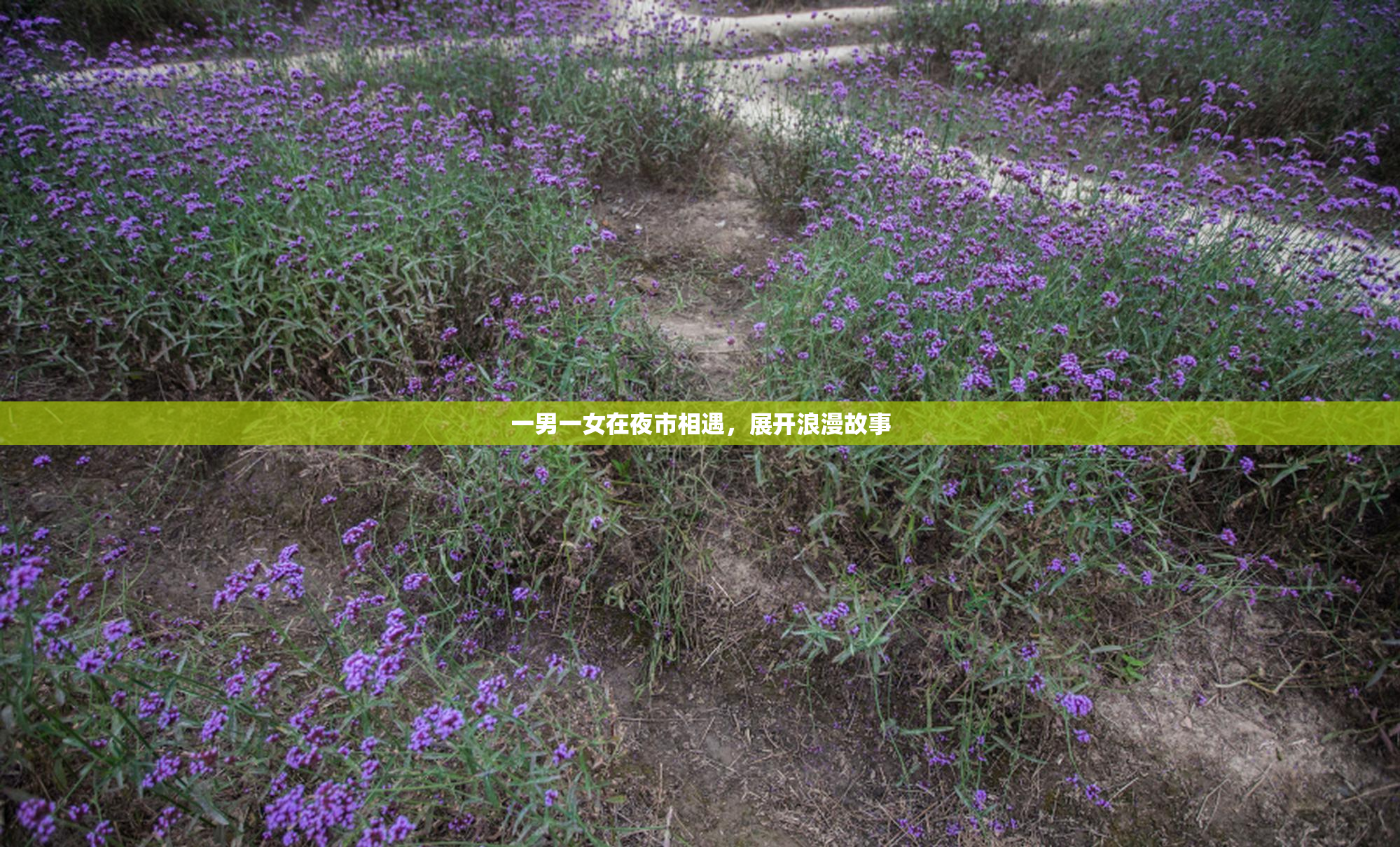 一男一女在夜市相遇，展开浪漫故事