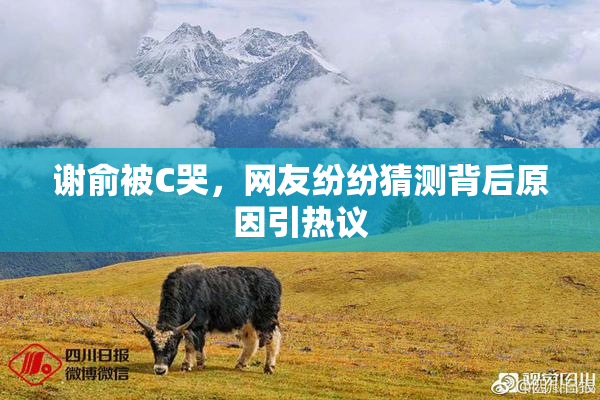 谢俞被C哭，网友纷纷猜测背后原因引热议