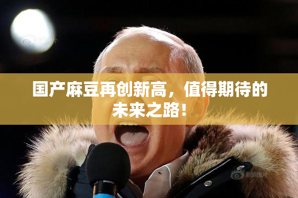 国产麻豆再创新高，值得期待的未来之路！