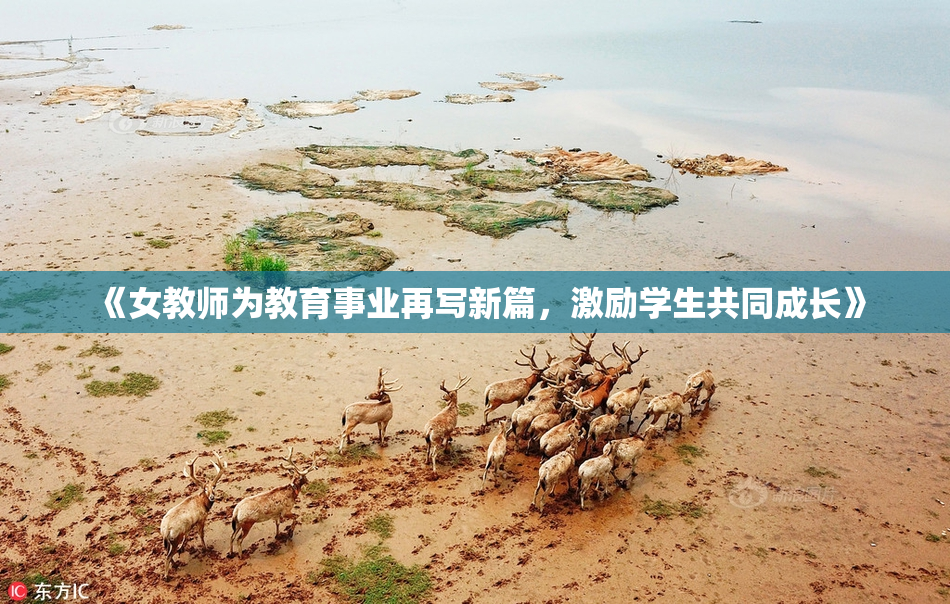 《女教师为教育事业再写新篇，激励学生共同成长》