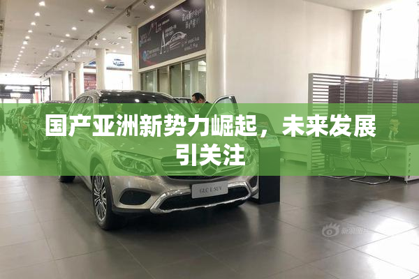 国产亚洲新势力崛起，未来发展引关注