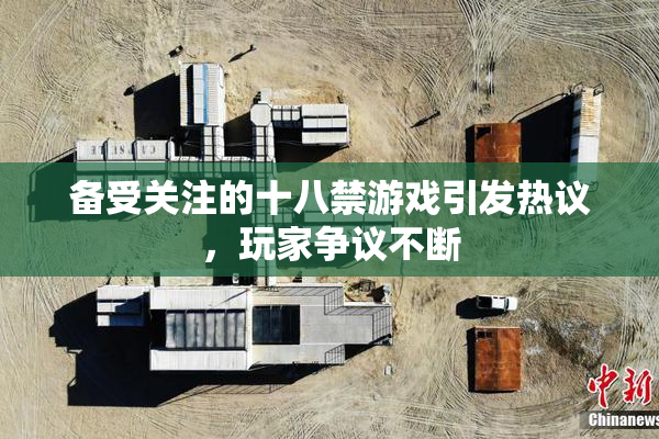 备受关注的十八禁游戏引发热议，玩家争议不断