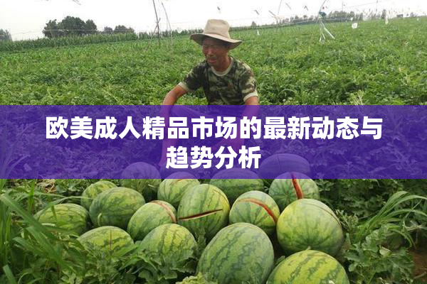 欧美成人精品市场的最新动态与趋势分析