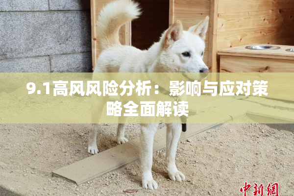 9.1高风风险分析：影响与应对策略全面解读