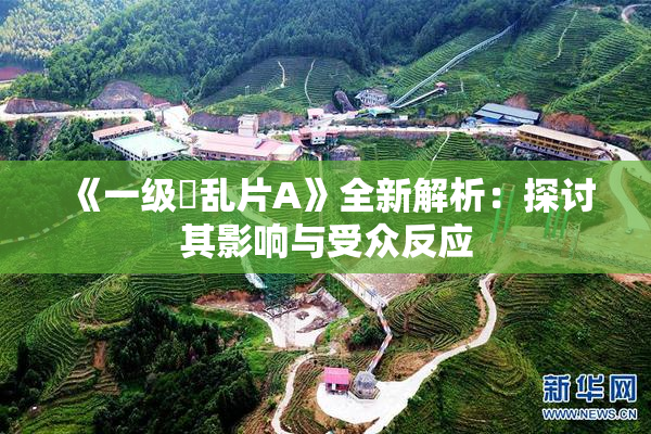 《一级婬乱片A》全新解析：探讨其影响与受众反应