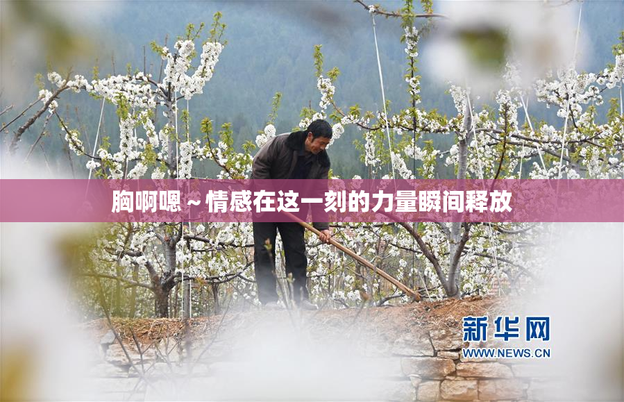 胸啊嗯～情感在这一刻的力量瞬间释放