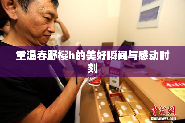 重温春野樱h的美好瞬间与感动时刻