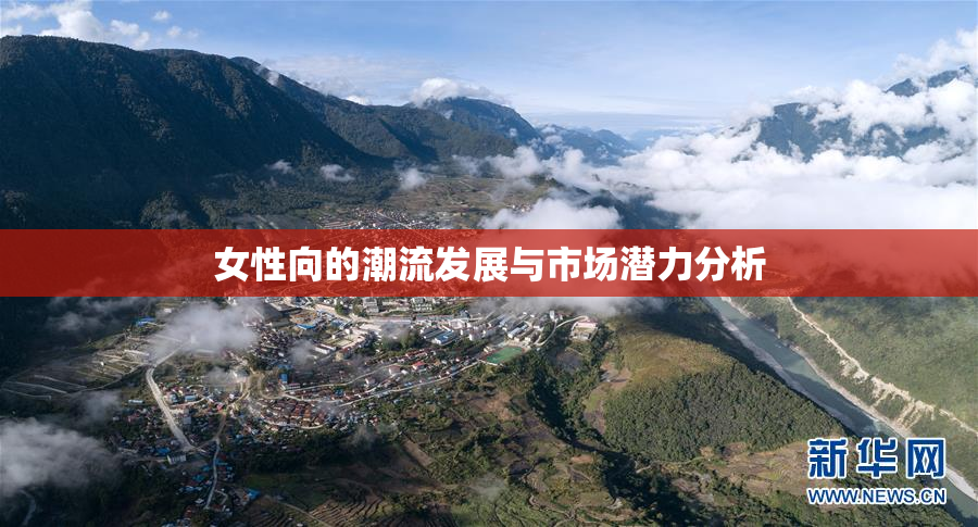 女性向的潮流发展与市场潜力分析