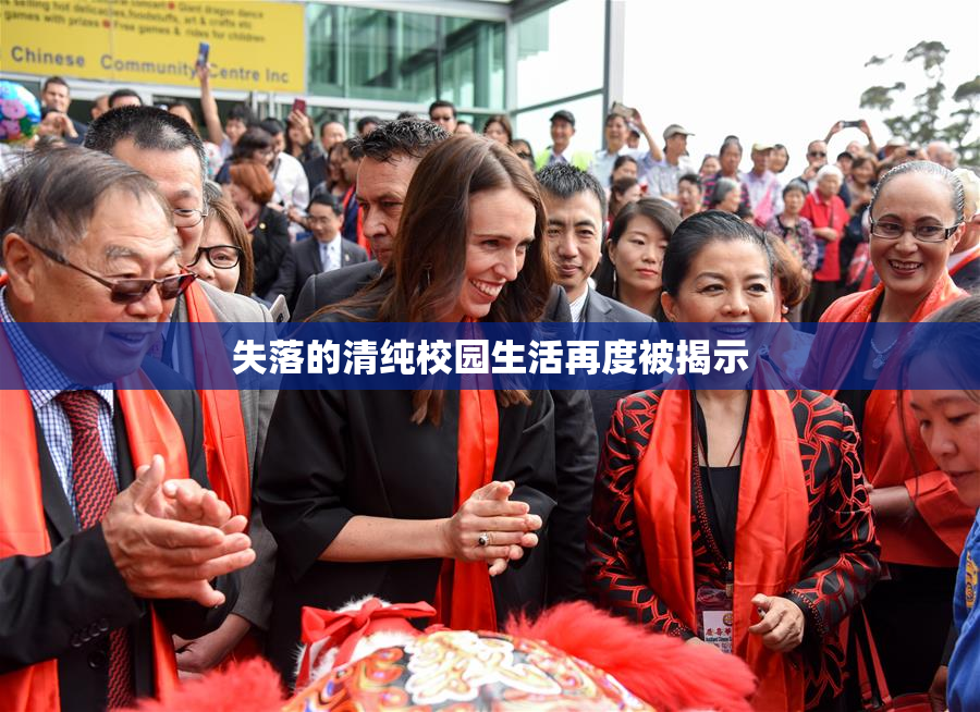 失落的清纯校园生活再度被揭示