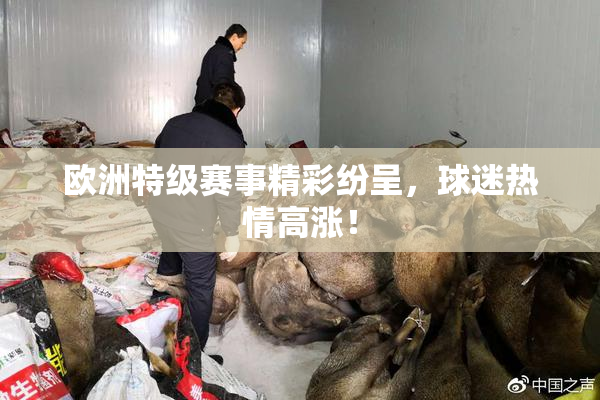 欧洲特级赛事精彩纷呈，球迷热情高涨！