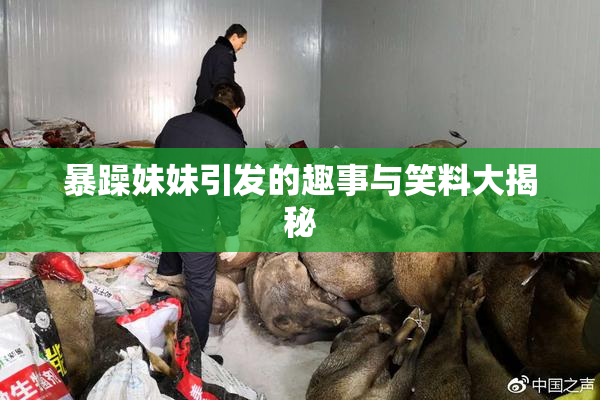 暴躁妹妹引发的趣事与笑料大揭秘