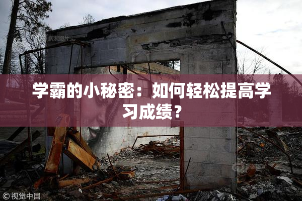 学霸的小秘密：如何轻松提高学习成绩？