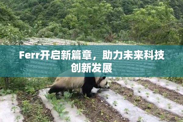Ferr开启新篇章，助力未来科技创新发展