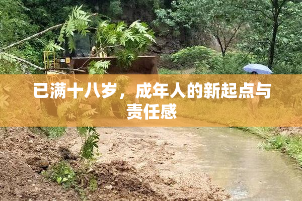 已满十八岁，成年人的新起点与责任感
