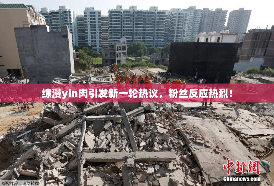 综漫yin肉引发新一轮热议，粉丝反应热烈！
