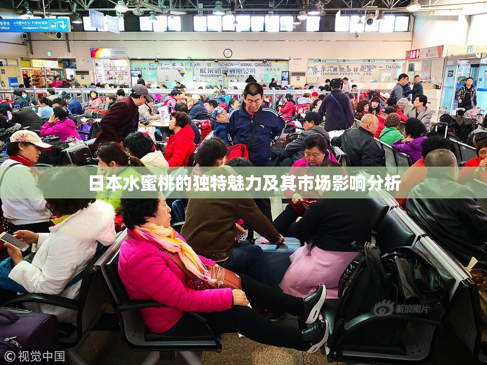 日本水蜜桃的独特魅力及其市场影响分析
