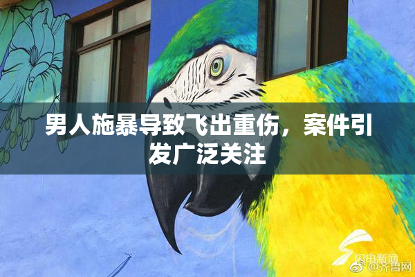 男人施暴导致飞出重伤，案件引发广泛关注