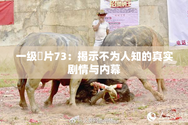 一级婬片73：揭示不为人知的真实剧情与内幕