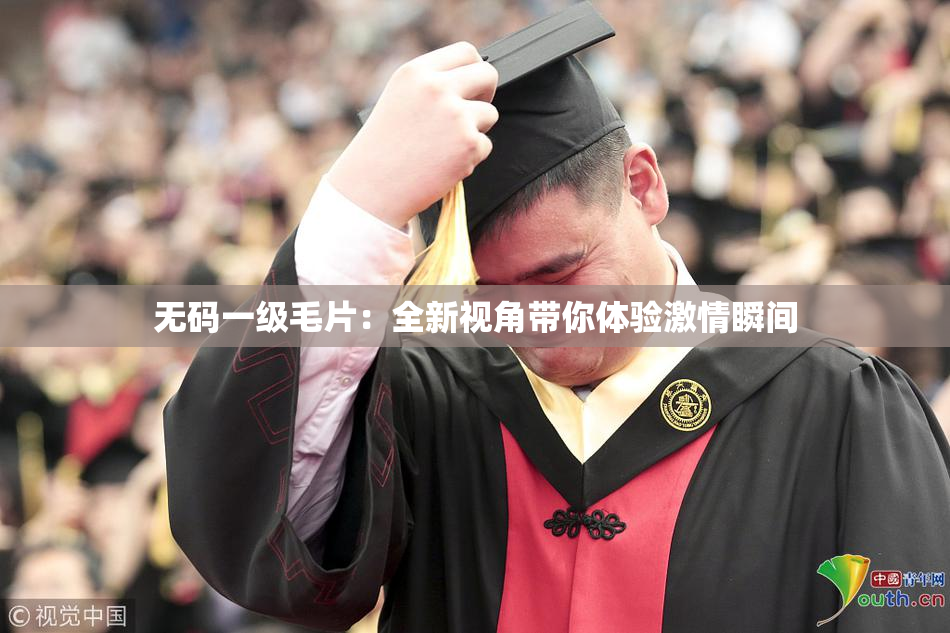 无码一级毛片：全新视角带你体验激情瞬间