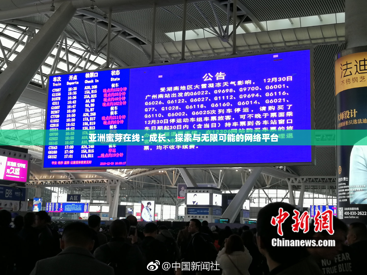 亚洲蜜芽在线：成长、探索与无限可能的网络平台