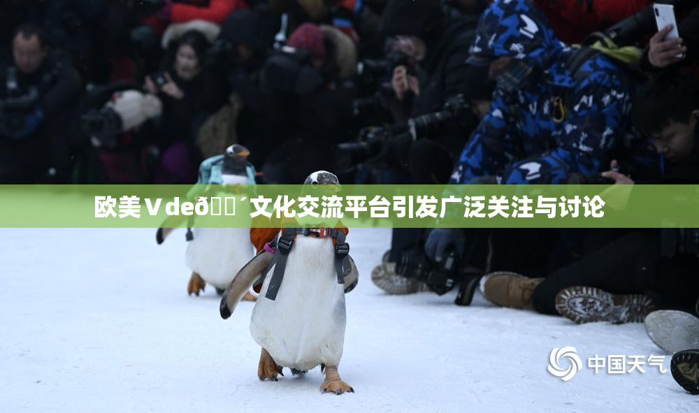 欧美Ⅴde🔴文化交流平台引发广泛关注与讨论