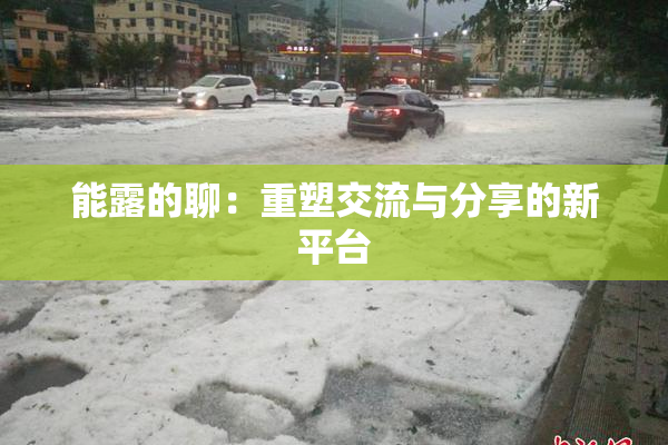 能露的聊：重塑交流与分享的新平台