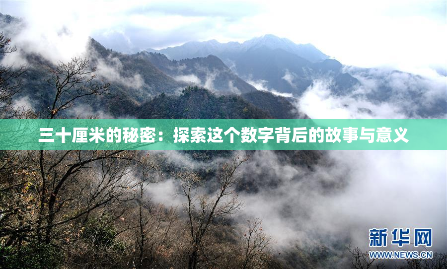 三十厘米的秘密：探索这个数字背后的故事与意义