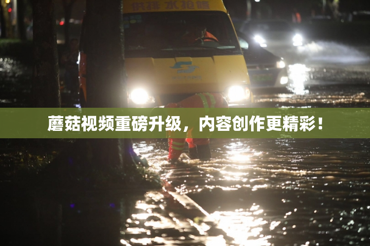 蘑菇视频重磅升级，内容创作更精彩！