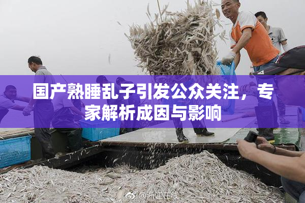 国产熟睡乱子引发公众关注，专家解析成因与影响