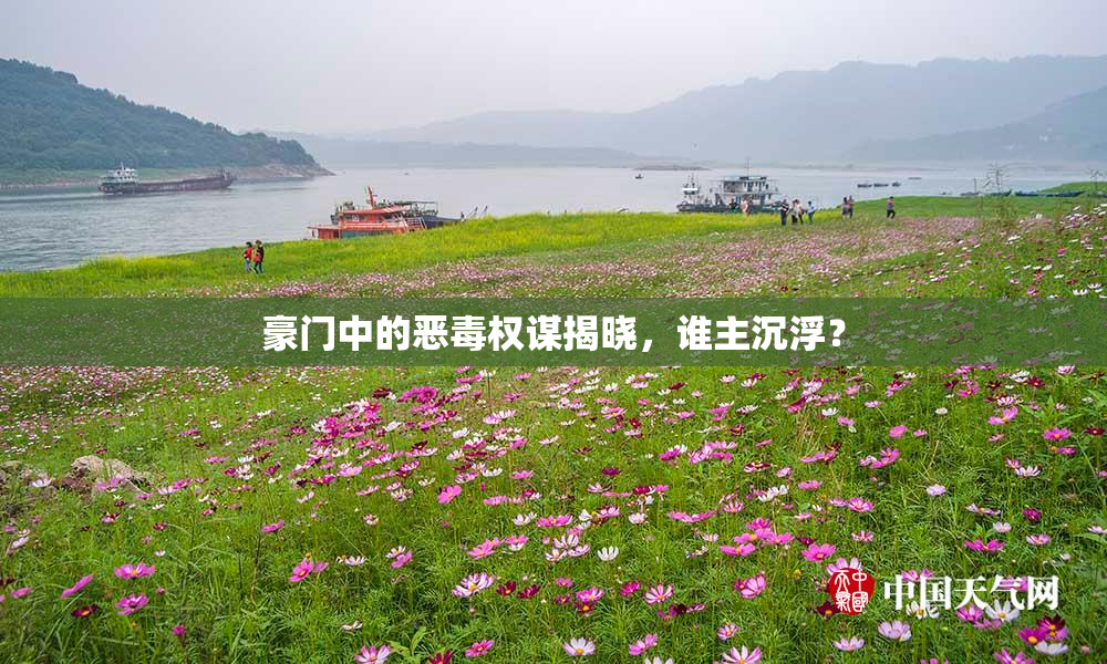 豪门中的恶毒权谋揭晓，谁主沉浮？