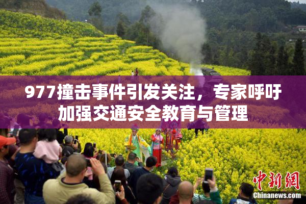 977撞击事件引发关注，专家呼吁加强交通安全教育与管理