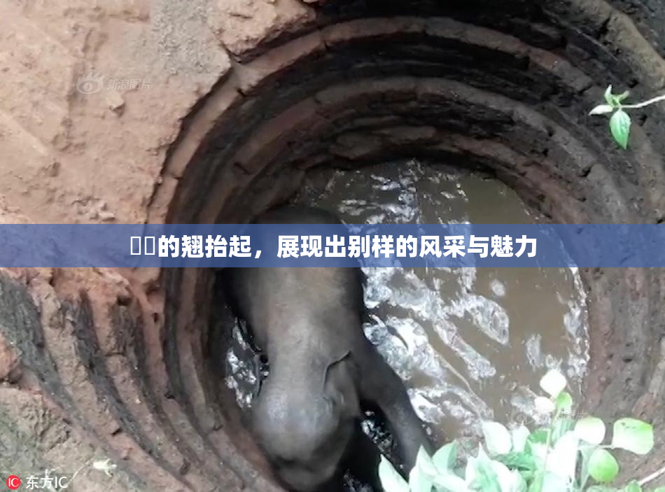 妺妺的翘抬起，展现出别样的风采与魅力