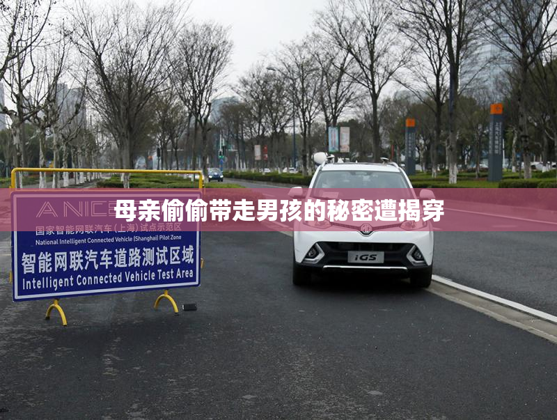 母亲偷偷带走男孩的秘密遭揭穿