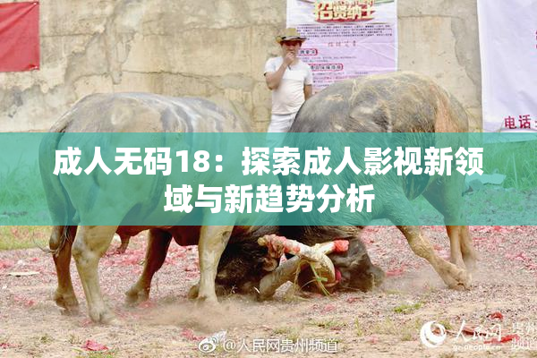 成人无码18：探索成人影视新领域与新趋势分析