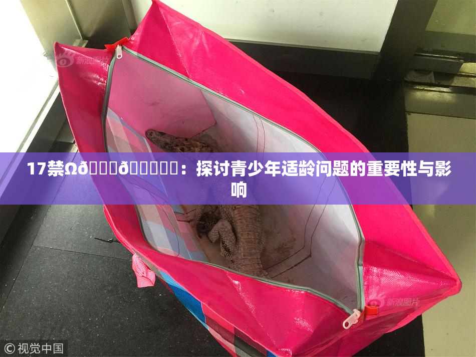 17禁Ω🍑🔞❌‌：探讨青少年适龄问题的重要性与影响